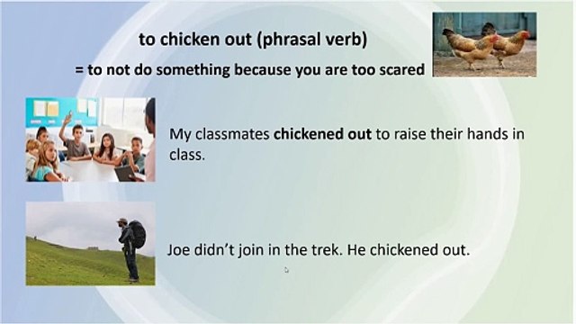 Idioms and Expressions About Animals || English Vocabulary Lesson