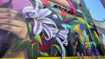 Newcastle artist Jordan Lucky discusses his process as he puts the finishing touches on his Mayfield mural | Newcastle Herald | January 13, 2024