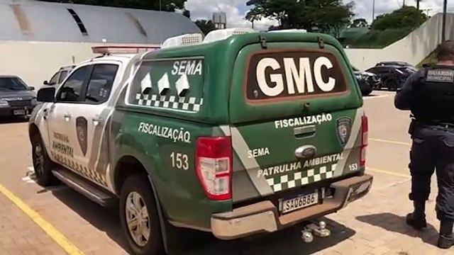 Kadett é recuperado e quatro indivíduos são detidos em ação da Guarda Municipal