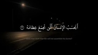 أَيَحسَبُ الإِنسانُ أَلَّن نَجمَعَ عِظامَهُ - محمد صديق المنشاوي - سورة القيامة