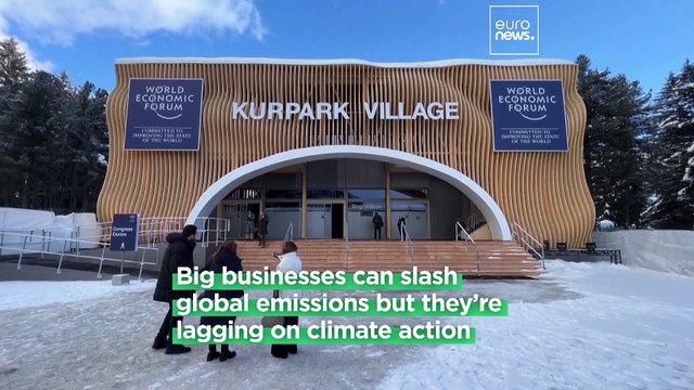 Some big businesses emit more than entire countries - so why are they failing to act?