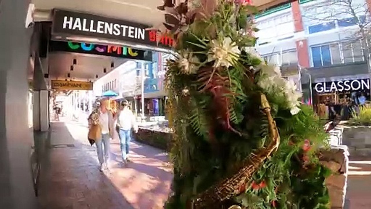 MY FIRST IMPRESSIONS of NEW ZEALAND, Wellington to Picton