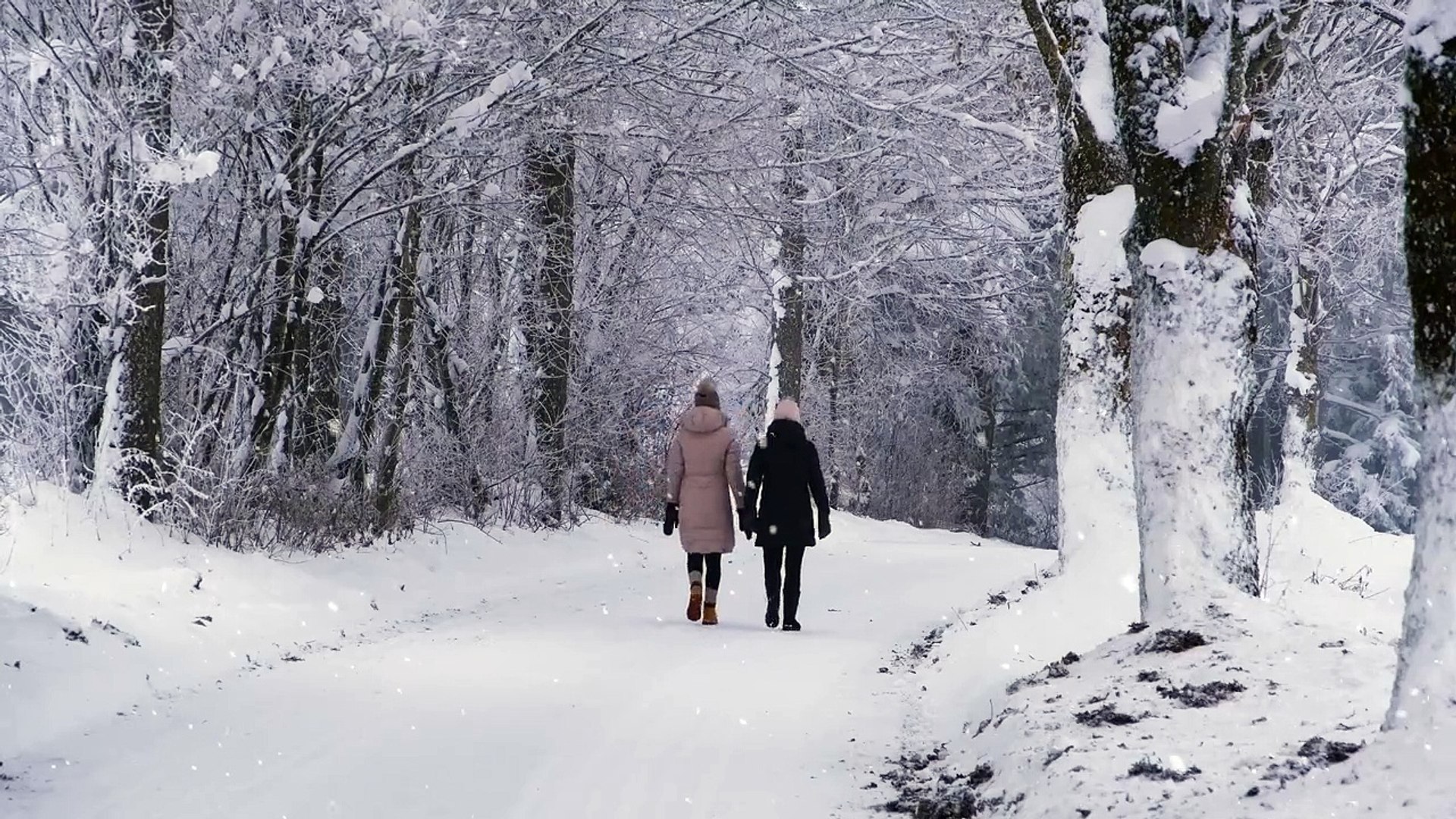 ⁣Travel snow ❄️ city #dailymotion #travel