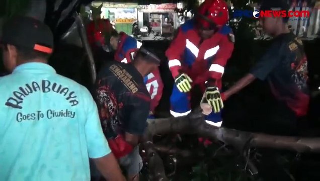 Hujan dan Angin Kencang, Pohon Beringin Tumbang dan Akibatkan Kemacetan