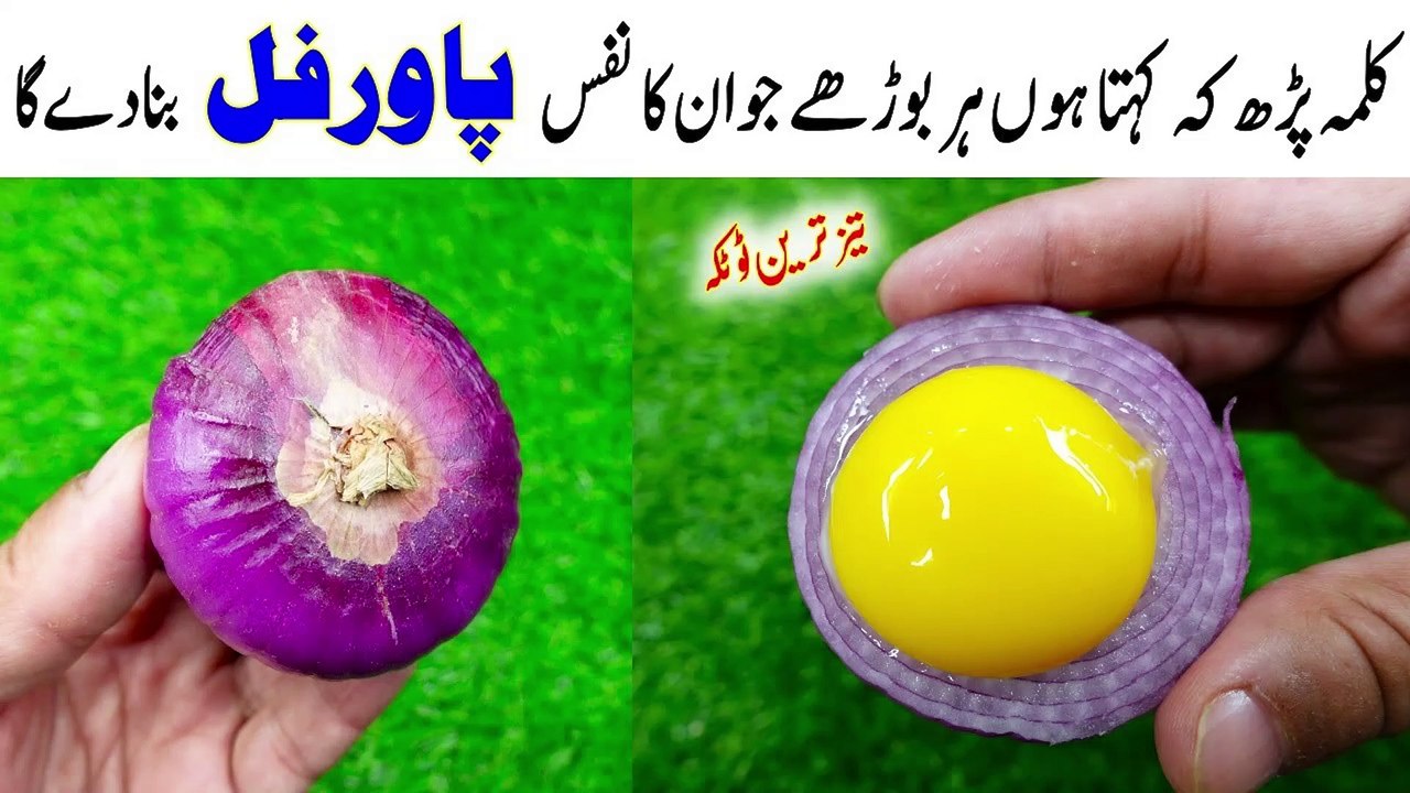 Onion & Egg Formula | Eatery Fashion Onion Formula | Fresh Onion Formula