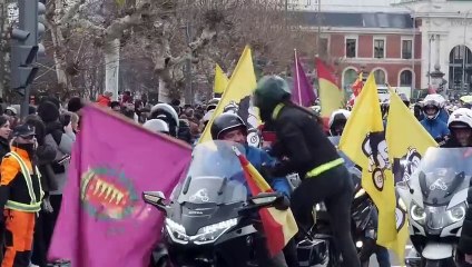 Desfile de banderas de Pingüinos 2024