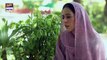 Dunk Episode 22 [Subtitle Eng] - 29th May 2021 - ARY Digital Drama