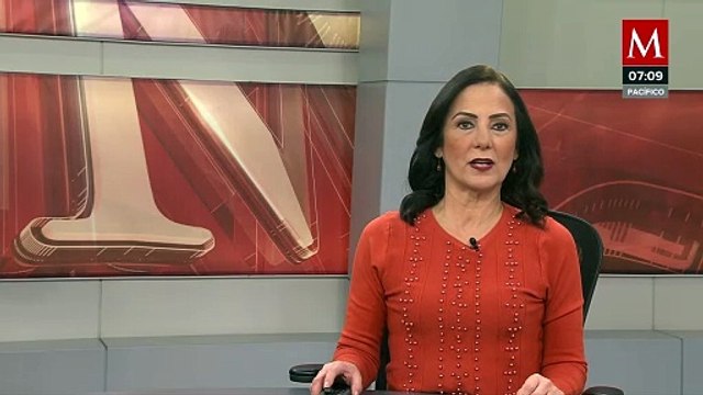 El reglamento del INE le dio a Taddei 'manga ancha', no el TEPJF: asesor jurídico