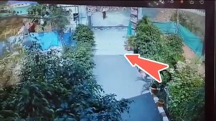 video: एक कदम और रखता तो कोबरा काट लेता, कूदकर बचा