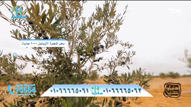 اتباع سنن النبي... وجهود مؤسسة سقيا الماء في أعمال الخير وتوصيل المياه/ دنيا ودين