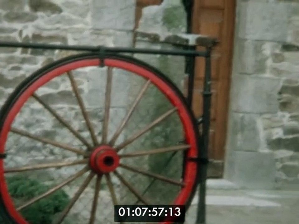 Roué Francis-Kerzu extérieur Ami 8