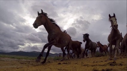 Hey Brother - Marc's Cover of Avicii's Song 🎶