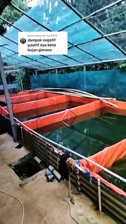 Kolam kena AIR HUJAN❗Ini dampak positif dan negatifnya