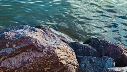 sea water flowing between the rocks of a coast