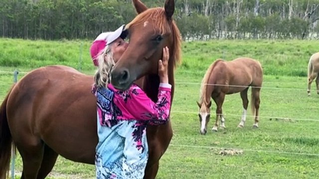 Prolonged Telstra outage in regional areas after Queensland storm prompts renewed calls for domestic roaming