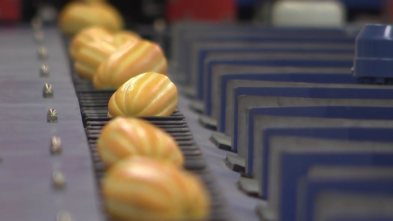 엄동설한에 맛보는 한여름 꿀맛..참외 첫 출하 / YTN