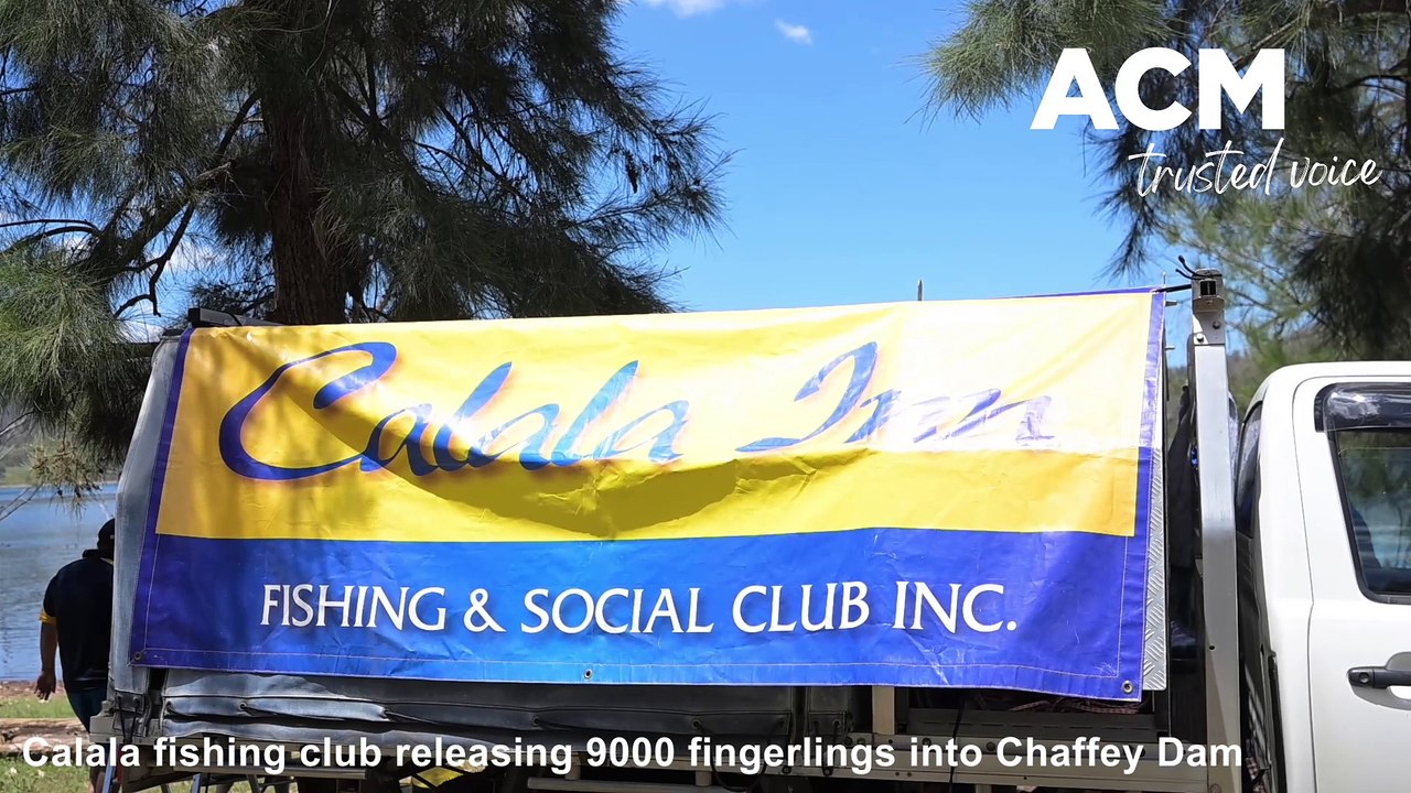 Calala fishing club fish stocking
