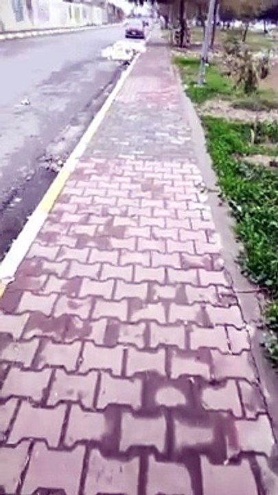 يمينxيسار بلكوردي وبلتركماني #وسام_بترول
