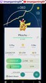 Pokémon GO-Evolving Holiday Attire Pikachu