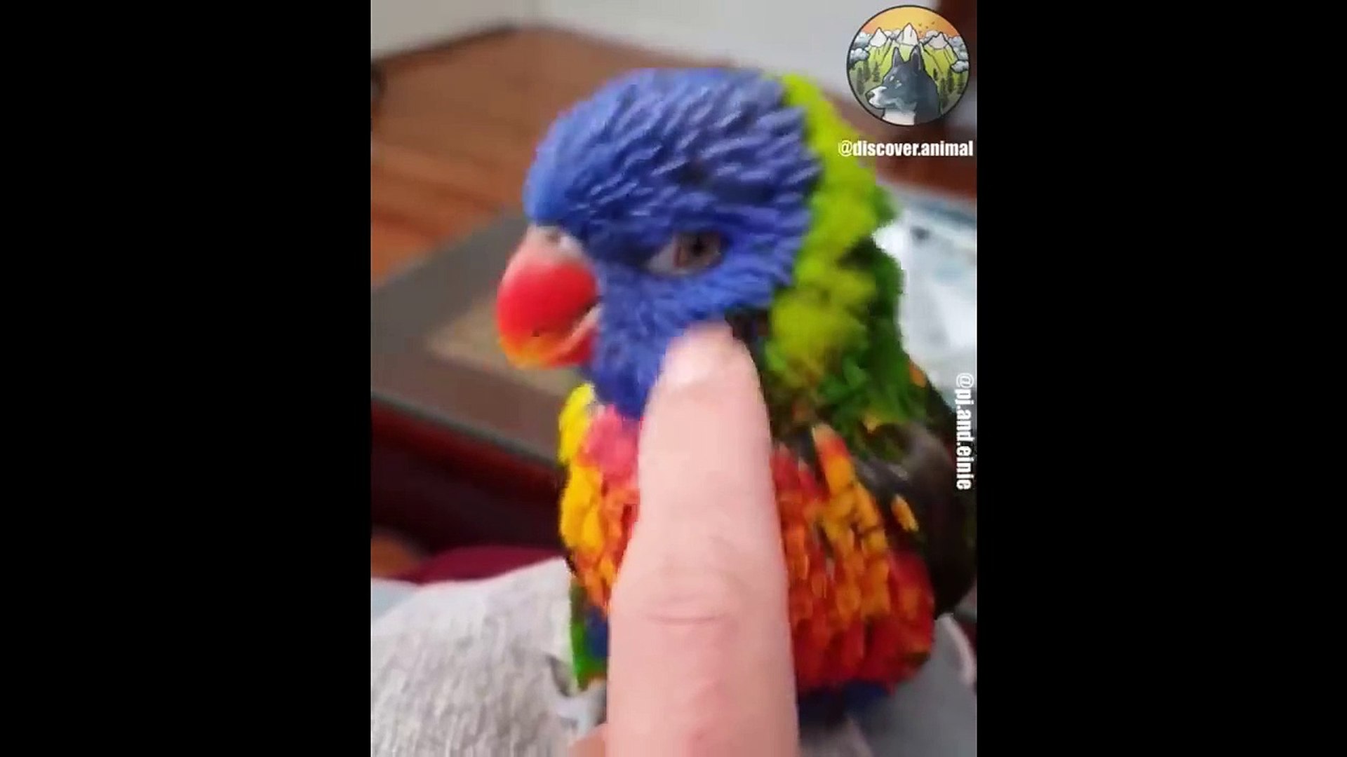 ⁣10. Pets Animals SOO Cute Cute baby animals Videos Compilation cute moment of the animals