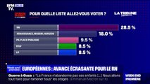 Européennes: une nette avance pour le Rassemblement national dans les intentions de vote, selon notre sondage Elabe