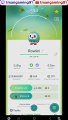 Pokémon GO-Evolving Shiny Rowlet