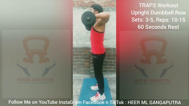 ❌ DUMBBELL UPRIGHT ROWS ✔️ Best TRAPS & SHOULDERS Exercise #heermlgangaputra #naturalbodybuilding