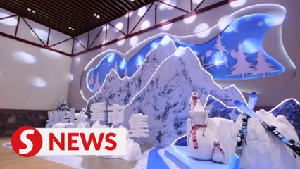 Vlog: Explore cultural odyssey in northeast China's ancient-themed Park