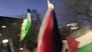 BREAKING: Pro-Palestinian protesters attempted to breach White House  #Washington | #DC