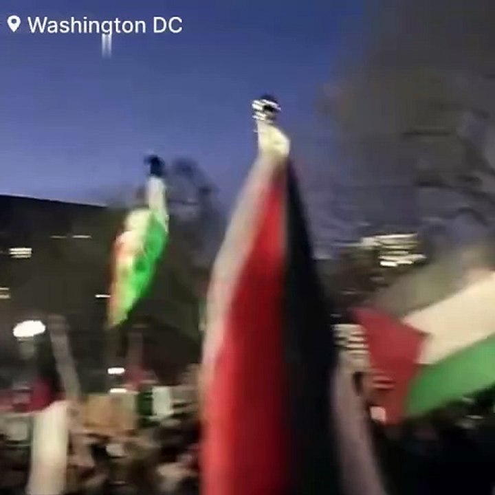 BREAKING: Pro-Palestinian protesters attempted to breach White House  #Washington | #DC