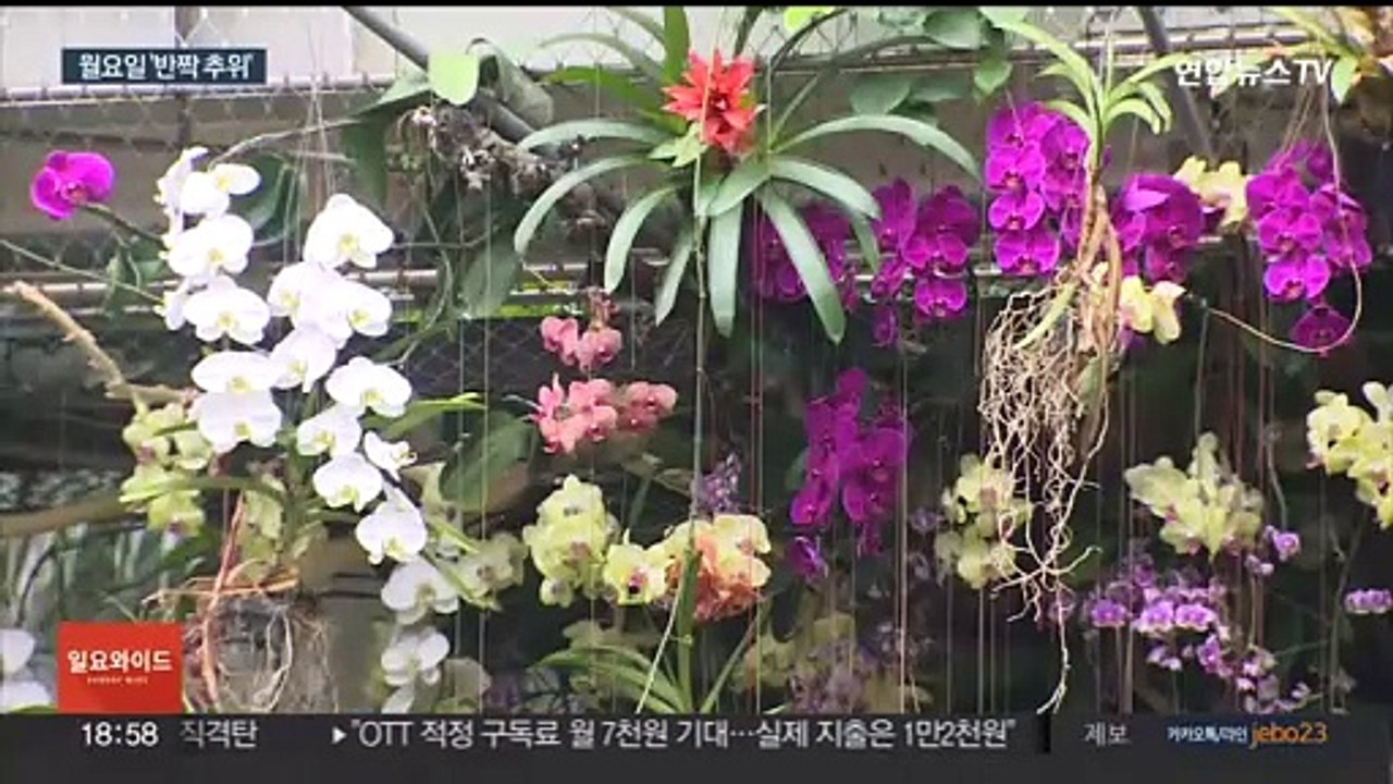 내일 서울 영하 7도 반짝 추위…강풍 불며 체감온도 뚝