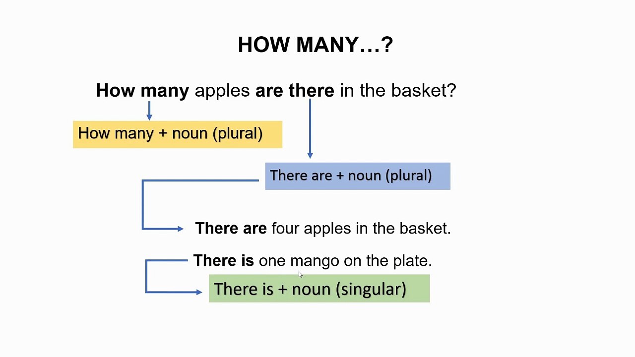 HOW MANY …?