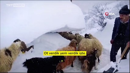Van'da yoğun kar: Hayvanlarını beslemek için tünel kazdı