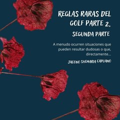 -Jacobo Shemaria Capuano- Jugar la pelota como se encuentre: (Parte 2) (Creado por @JacoboShemariaCapuano)