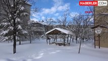 Bitlis'te kar yağışı nedeniyle kapanan köy yollarının bir kısmı açıldı