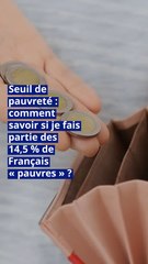 Seuil de pauvreté : comment savoir si je fais partie des 14,5 % de Français « pauvres » ?