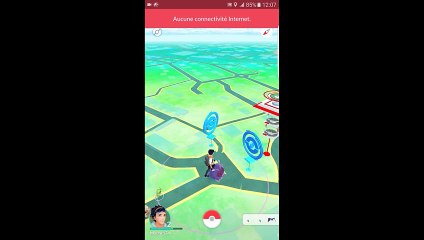 Pokémon Go  Captures Paras  Arène à Annecy