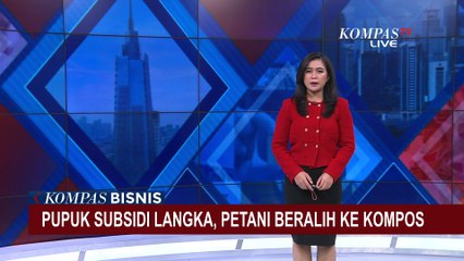 Download Video: Pupuk Subsidi Langka dan Mahal, Petani di Jember Beralih ke Pupuk Kompos