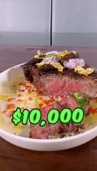 feeding A dog_1 vs _10_000 steak(720P_HD)