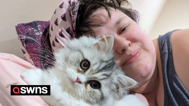 I have epilepsy - my clever cat can detect my seizures eight hours before they happen