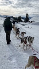 Ο Light με χάσκι στην Ελβετία