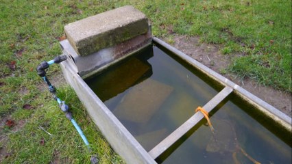 FOOTPATHS IN CRISIS: Castle Rising Episode 2