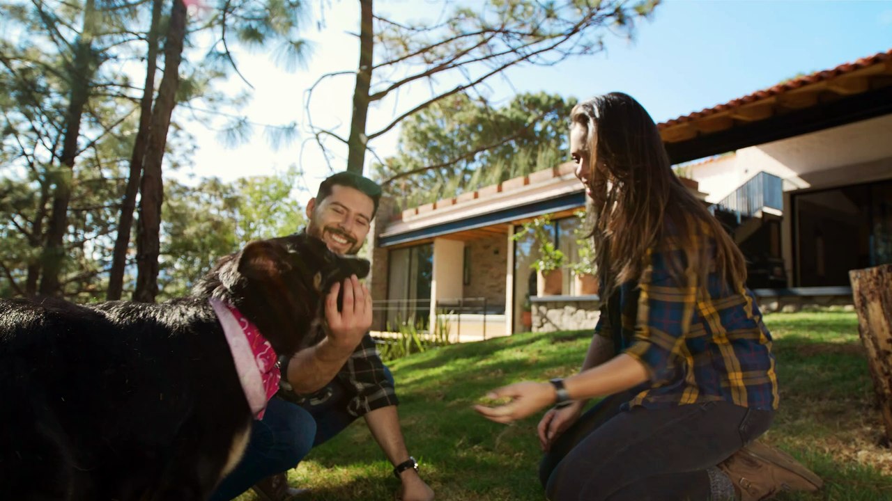 man and woman playing with a dog in a garden