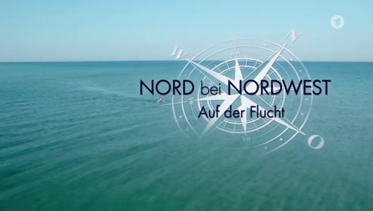 Nord bei Nordwest -19- Auf der Flucht