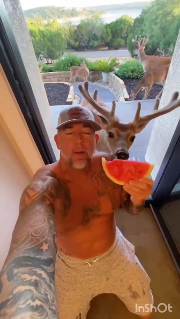 ⁣Funny animals hub,funny animals club , funny animals dancing , funny animals fighting