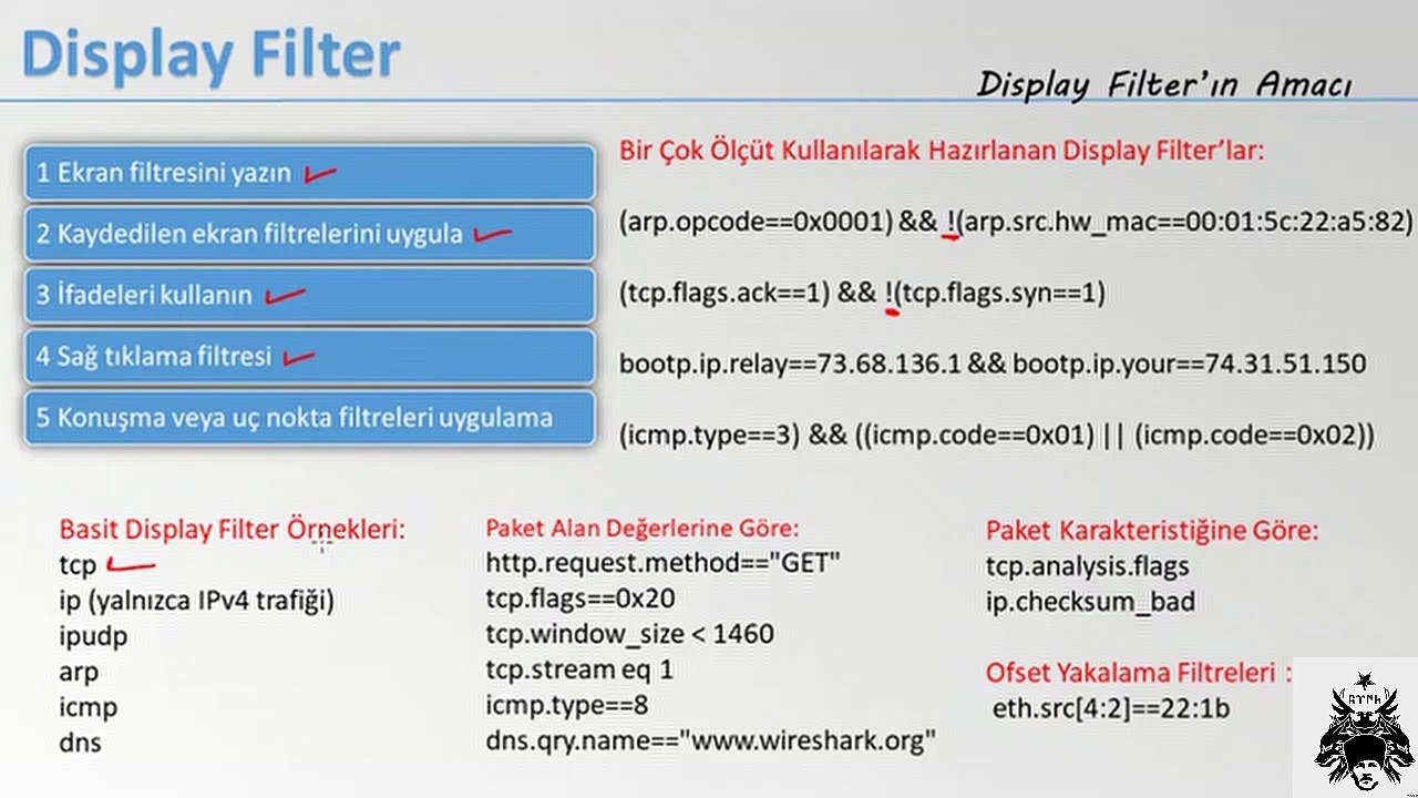 wireshark display