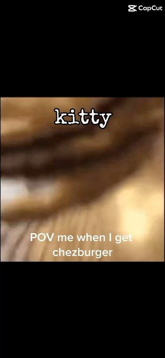 Chezburger