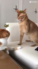 I HATE CG5 HE RUINS MEMES