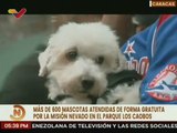 Caracas | Misión Nevado realizó jornada veterinaria donde atendió a más de 600 mascotas