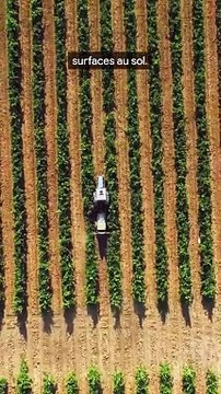 Le problème des fermes verticales.